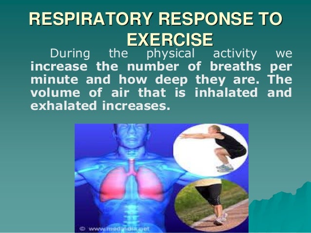 What Is A Cardio-Respiratory Activity? – LOAG