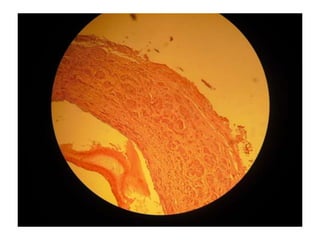 Cardiorespiratório out.2011