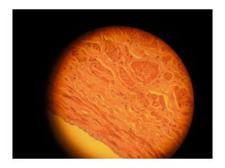 Cardiorespiratório out.2011