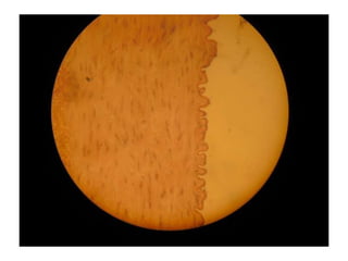 Cardiorespiratório out.2011