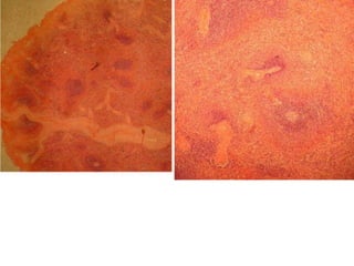 Cardiorespiratório out.2011