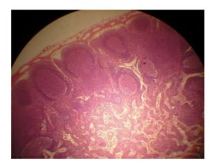 Cardiorespiratório out.2011