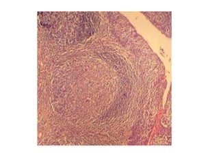 Cardiorespiratório out.2011