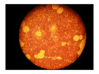 Cardiorespiratório out.2011