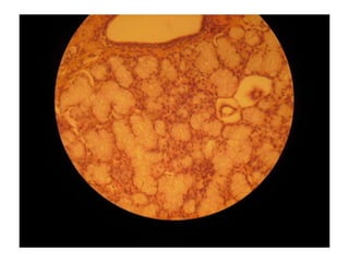 Cardiorespiratório out.2011