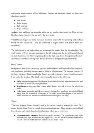 mammalian hearts consists of four chambers. Humans are mammals; hence, we have four
chambers, namely:
 Left atrium
 Right atrium
 Left ventricle
 Right ventricle
Atria are thin and have less muscular walls and are smaller than ventricles. These are the
blood-receiving chambers that are fed by the large veins.
Ventricles are larger and more muscular chambers responsible for pumping and pushing
blood out into circulation. These are connected to larger arteries that deliver blood for
circulation.
The right ventricle and right atrium are comparatively smaller than the left chambers. The
walls consist of fewer muscles compared to the left portion, and the size difference is based
on their functions. The blood originating from the right side flows through the pulmonary
circulation, while blood arising from the left chambers is pumped throughout the body.
Blood Vessels
In organisms with closed circulatory systems, the blood flows within vessels of varying sizes.
All vertebrates, including humans, possess this type of circulation. The external structure of
the heart has many blood vessels that form a network, with other major vessels emerging
from within the structure. The blood vessels typically comprise the following:
 Veins supply deoxygenated blood to the heart via inferior and superior vena cava, and
it eventually drains into the right atrium.
 Capillaries are tiny, tube-like vessels which form a network between the arteries to
veins.
 Arteries are muscular-walled tubes mainly involved in supplying oxygenated blood
away from the heart to all other parts of the body. Aorta is the largest of the arteries
and it branches off into various smaller arteries throughout the body.
Valves
Valves are flaps of fibrous tissues located in the cardiac chambers between the veins. They
ensure that the blood flows in a single direction (unidirectional). Flaps also prevent the blood
from flowing backwards. Based on their function, valves are of two types:
 Atrioventricular valves are between ventricles and atria. The valve between the right
ventricle and right atrium is the tricuspid valve, and the one which is found between
the left ventricle and left atrium is known as the mitral valve.
 