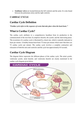  Semilunar valves are located between the left ventricle and the aorta. It is also found
between the pulmonary artery and the right ventricle.
CARDIAC CYCLE
Cardiac Cycle Definition
“Cardiac cycle refers to the sequence of events that take place when the heart beats.”
What is Cardiac Cycle?
The cardiac cycle attributes to a comprehensive heartbeat from its production to the
commencement of the next beat. It comprises diastole, the systole, and the intervening pause.
The occurrence of a cardiac cycle is illustrated by a heart rate, which is naturally indicated as
beats per minute. A healthy human heart beats 72 times per minute which states that there are
72 cardiac cycles per minute. The cardiac cycle involves a complete contraction and
relaxation of both the atria and ventricles and the cycle last approximately 0.8 seconds.
Cardiac Cycle Diagram
The diagram below represents the different phases of the cardiac cycle. The atrial systole,
ventricular systole, atrial diastole, and ventricular diastole are clearly mentioned in the
cardiac cycle diagram given below.
 
