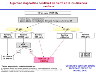 IC: insuficiencia cardíaca, sFfR: receptor soluble de transferrina, IST: índice de saturación de transferrina
Algoritmo diagnóstico del déficit de hierro en la insuficiencia
cardiaca
** En IC aguda con diagnóstico dudoso tras determinación de ferritina e IST podría ser útil la determinación de hepcidina y sTfR
(Jankowska EA et al. Eur Heart J 2014; doi:10.1093/eurheartj/ehu235)
*Debut, seguimiento o descompensación
no
IC* en clase NYHA II-IV
-Historia clínica y exploración física
-Estudio básico del metabolismo del hierro: hemograma, ferritina e IST
DÉFICIT DE
HIERRO
NO DÉFICIT
DE HIERRO
Ferritina
<300 g/ml
Ferritina
300-800 g/ml
sTfR**
> 1,32mg/L
IST <20% IST >20%
Ferritina
>800 g/ml
Ferritina
≥100g/mL
Ferritina
<100g/mL
NO DÉFICIT
DE HIERRO
sí
CONSENSO SEC-SEMI SOBRE
ABORDAJE DEFICIT DE
HIERRO EN IC
 