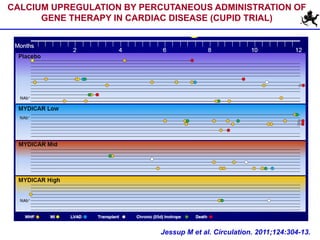 Jessup M et al. Circulation. 2011;124:304-13.
CALCIUM UPREGULATION BY PERCUTANEOUS ADMINISTRATION OF
GENE THERAPY IN CARDIAC DISEASE (CUPID TRIAL)
 
