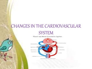 CHANGES IN THE CARDIOVASCULAR
SYSTEM
 