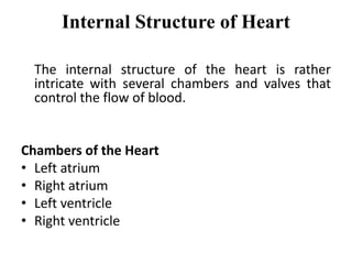 Internal Structure of Heart
The internal structure of the heart is rather
intricate with several chambers and valves that
control the flow of blood.
Chambers of the Heart
• Left atrium
• Right atrium
• Left ventricle
• Right ventricle
 