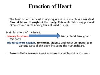 Function of Heart
The function of the heart in any organism is to maintain a constant
flow of blood throughout the body. This replenishes oxygen and
circulates nutrients among the cells and tissues.
Main functions of the heart:
primary functions of the human heart is to Pump blood throughout
the body.
Blood delivers oxygen, hormones, glucose and other components to
various parts of the body, including the human heart.
• Ensures that adequate blood pressure is maintained in the body
 