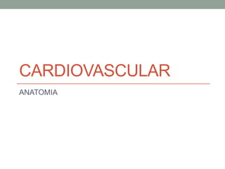 Cardiovascular ANATOMIA 