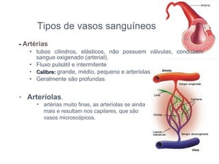 -  Artérias tubos cilindros, elásticos, não possuem válvulas, conduzem sangue oxigenado (arterial). Fluxo pulsátil e intermitente Calibre:  grande, médio, pequeno e arteríolas Geralmente são profundas Arteríolas ,  artérias muito finas, as arteríolas se ainda mais e resultam nos capilares, que são vasos microscópicos. Tipos de vasos sanguíneos 
