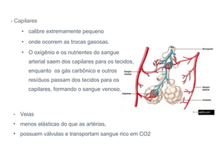 - Capilares calibre extremamente pequeno onde ocorrem as trocas gasosas. O oxigênio e os nutrientes do sangue arterial saem dos capilares para os tecidos, enquanto  os gás carbônico e outros resíduos passam dos tecidos para os capilares, formando o sangue venoso. Veias menos elásticas do que as artérias,  possuem válvulas e transportam sangue rico em CO2 