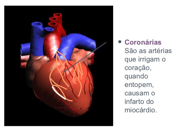 O Nodo Sinoatrial é Normalmente O Marcapasso Cardíaco Porque