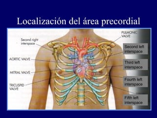 Cardiovascular | PPT
