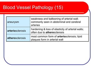 Blood Vessel Pathology (15)

                    weakness and ballooning of arterial wall;
 aneurysm           commonly seen in abdominal and cerebral
                    arteries
                    hardening & loss of elasticity of arterial walls;
 arteriosclerosis
                    often due to atherosclerosis
                    most common form of arteriosclerosis; lipid
 atherosclerosis
                    plaques form in arterial wall
 