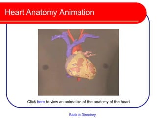 Heart Anatomy Animation




     Click here to view an animation of the anatomy of the heart


                             Back to Directory
 