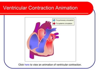 Ventricular Contraction Animation




      Click here to view an animation of ventricular contraction.
 