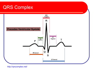 QRS Complex



 Precedes Ventricular Systole




 http://qrscomplex.net/
 