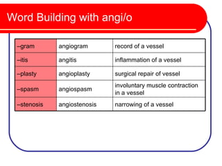 Word Building with angi/o

  –gram       angiogram       record of a vessel

  –itis       angitis         inflammation of a vessel

  –plasty     angioplasty     surgical repair of vessel
                              involuntary muscle contraction
  –spasm      angiospasm
                              in a vessel
  –stenosis   angiostenosis   narrowing of a vessel
 
