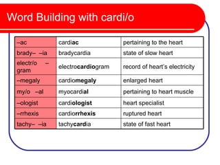 Word Building with cardi/o

  –ac            cardiac             pertaining to the heart
  brady– –ia     bradycardia         state of slow heart
  electr/o   –
                 electrocardiogram   record of heart’s electricity
  gram
  –megaly        cardiomegaly        enlarged heart
  my/o –al       myocardial          pertaining to heart muscle
  –ologist       cardiologist        heart specialist
  –rrhexis       cardiorrhexis       ruptured heart
  tachy– –ia     tachycardia         state of fast heart
 