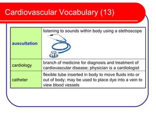 Cardiovascular Vocabulary (13)

                listening to sounds within body using a stethoscope

 auscultation



                branch of medicine for diagnosis and treatment of
 cardiology
                cardiovascular disease; physician is a cardiologist
                flexible tube inserted in body to move fluids into or
 catheter       out of body; may be used to place dye into a vein to
                view blood vessels
 