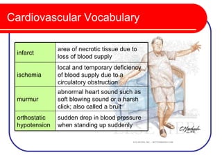 Cardiovascular Vocabulary

               area of necrotic tissue due to
 infarct
               loss of blood supply
               local and temporary deficiency
 ischemia      of blood supply due to a
               circulatory obstruction
               abnormal heart sound such as
 murmur        soft blowing sound or a harsh
               click; also called a bruit
 orthostatic   sudden drop in blood pressure
 hypotension   when standing up suddenly
 