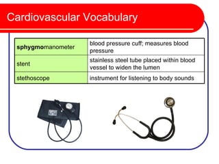 Cardiovascular Vocabulary

                    blood pressure cuff; measures blood
 sphygmomanometer
                    pressure
                    stainless steel tube placed within blood
 stent
                    vessel to widen the lumen
 stethoscope        instrument for listening to body sounds
 