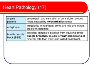 Heart Pathology (17)

 angina          severe pain and sensation of constriction around
 pectoris        heart; caused by myocardial ischemia
                 irregularity in heartbeat; some are mild and others
 arrhythmia
                 are life threatening
                 electrical impulse is blocked from traveling down
 bundle branch
                 bundle branches; results in ventricles beating at
 block (BBB)
                 different rate than atria; also called heart block
 