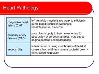 Heart Pathology

                    left ventricle muscle is too weak to efficiently
 congestive heart
                    pump blood; results in weakness,
 failure (CHF)
                    breathlessness, & edema

                    poor blood supply to heart muscle due to
 coronary artery
                    obstruction of coronary arteries; may cause
 disease (CAD)
                    angina pectoris and heart attack

                    inflammation of lining membranes of heart; if
 endocarditis       cause is bacterial may have a bacterial colony
                    form, called vegetation
 