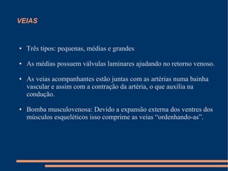 VEIAS


●   Três tipos: pequenas, médias e grandes

●   As médias possuem válvulas laminares ajudando no retorno venoso.

●   As veias acompanhantes estão juntas com as artérias numa bainha
    vascular e assim com a contração da artéria, o que auxilia na
    condução.

●   Bomba musculovenosa: Devido a expansão externa dos ventres dos
    músculos esqueléticos isso comprime as veias “ordenhando-as”.
 