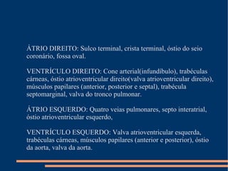 ÁTRIO DIREITO: Sulco terminal, crista terminal, óstio do seio
coronário, fossa oval.

VENTRÍCULO DIREITO: Cone arterial(infundíbulo), trabéculas
cárneas, óstio atrioventricular direito(valva atrioventricular direito),
músculos papilares (anterior, posterior e septal), trabécula
septomarginal, valva do tronco pulmonar.

ÁTRIO ESQUERDO: Quatro veias pulmonares, septo interatrial,
óstio atrioventricular esquerdo,

VENTRÍCULO ESQUERDO: Valva atrioventricular esquerda,
trabéculas cárneas, músculos papilares (anterior e posterior), óstio
da aorta, valva da aorta.
 