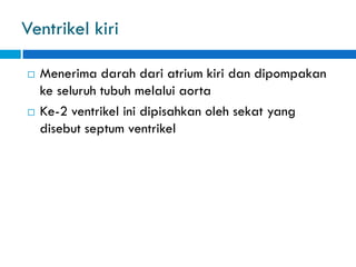 Ventrikel kiri
 Menerima darah dari atrium kiri dan dipompakan
ke seluruh tubuh melalui aorta
 Ke-2 ventrikel ini dipisahkan oleh sekat yang
disebut septum ventrikel
 