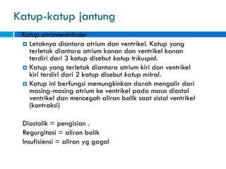 Katup-katup jantung
 Katup atrioventrikuler
 Letaknya diantara atrium dan ventrikel. Katup yang
terletak diantara atrium kanan dan ventrikel kanan
terdiri dari 3 katup disebut katup trikuspid.
 Katup yang terletak diantara atrium kiri dan ventrikel
kiri terdiri dari 2 katup disebut katup mitral.
 Katup ini berfungsi memungkinkan darah mengalir dari
masing-masing atrium ke ventrikel pada masa diastol
ventrikel dan mencegah aliran balik saat sistol ventrikel
(kontraksi)
Diastolik = pengisian .
Regurgitasi = aliran balik
Insufisiensi = aliran yg gagal
 