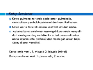  Katup Semilunar
 Katup pulmonal terletak pada arteri pulmonalis,
memisahkan pembuluh pulmonal dari ventrikel kanan.
 Katup aorta terletak antara ventrikel kiri dan aorta.
 Adanya katup semilunar memungkinkan darah mengalir
dari masing-masing ventrikel ke arteri pulmonalis atau
aorta selama sistol ventrikel dan mencegah aliran balik
waktu diastol ventrikel.
Katup atrio-vent . 1. tricupid 2. bicupid (mitral)
Katup semilunar vent :1. pulmonalis, 2. aorta.
 