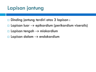 Lapisan jantung
 Dinding jantung terdiri atas 3 lapisan :
 Lapisan luar epikardium (perikardium viseralis)
 Lapisan tengah miokardium
 Lapisan dalam endokardium
 