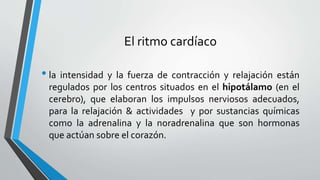El ritmo cardíaco
• la intensidad y la fuerza de contracción y relajación están
regulados por los centros situados en el hipotálamo (en el
cerebro), que elaboran los impulsos nerviosos adecuados,
para la relajación & actividades y por sustancias químicas
como la adrenalina y la noradrenalina que son hormonas
que actúan sobre el corazón.
 