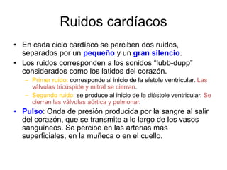 Ruidos cardíacos 
• En cada ciclo cardíaco se perciben dos ruidos, 
separados por un pequeño y un gran silencio. 
• Los ruidos corresponden a los sonidos “lubb-dupp” 
considerados como los latidos del corazón. 
– Primer ruido: corresponde al inicio de la sístole ventricular. Las 
válvulas tricúspide y mitral se cierran. 
– Segundo ruido: se produce al inicio de la diástole ventricular. Se 
cierran las válvulas aórtica y pulmonar. 
• Pulso: Onda de presión producida por la sangre al salir 
del corazón, que se transmite a lo largo de los vasos 
sanguíneos. Se percibe en las arterias más 
superficiales, en la muñeca o en el cuello. 
 