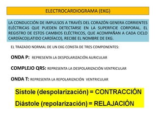 ELECTROCARDIOGRAMA (EKG) 
LA CONDUCCIÓN DE IMPULSOS A TRAVÉS DEL CORAZÓN GENERA CORRIENTES 
ELÉCTRICAS QUE PUEDEN DETECTARSE EN LA SUPERFICIE CORPORAL. EL 
REGISTRO DE ESTOS CAMBIOS ELÉCTRICOS, QUE ACOMPAÑAN A CADA CICLO 
CARDÍACO(LATIDO CARDÍACO), RECIBE EL NOMBRE DE EKG. 
EL TRAZADO NORMAL DE UN EKG CONSTA DE TRES COMPONENTES: 
ONDA P: REPRESENTA LA DESPOLARIZACIÓN AURICULAR 
COMPLEJO QRS: REPRESENTA LA DESPOLARIZACIÓN VENTRICULAR 
ONDA T: REPRESENTA LA REPOLARIZACIÓN VENTRICULAR 
 