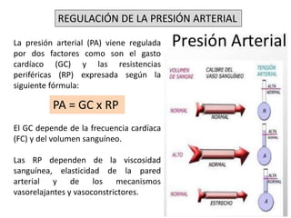 REGULACIÓN DE LA PRESIÓN ARTERIAL 
La presión arterial (PA) viene regulada 
por dos factores como son el gasto 
cardíaco (GC) y las resistencias 
periféricas (RP) expresada según la 
siguiente fórmula: 
PA = GC x RP 
El GC depende de la frecuencia cardíaca 
(FC) y del volumen sanguíneo. 
Las RP dependen de la viscosidad 
sanguínea, elasticidad de la pared 
arterial y de los mecanismos 
vasorelajantes y vasoconstrictores. 
 