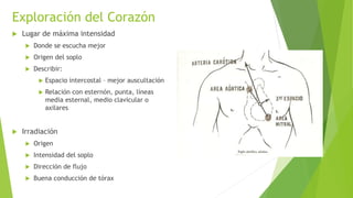 Exploración del Corazón
 Lugar de máxima intensidad
 Donde se escucha mejor
 Origen del soplo
 Describir:
 Espacio intercostal – mejor auscultación
 Relación con esternón, punta, líneas
media esternal, medio clavicular o
axilares
 Irradiación
 Origen
 Intensidad del soplo
 Dirección de flujo
 Buena conducción de tórax
 