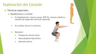 Exploración del Corazón
 Técnicas especiales
 Bipedestación y cuclillas
 En bipedestación: retorno venoso, RVP, PA, volumen sistólico y
volumen de sangre del ventrículo izquierdo
 En cuclillas: Ocurre lo contrario
 Reconocer
 Prolapso de válvula mitral
 Miocardiopatía hipertrófica
 Estenosis aórtica
 