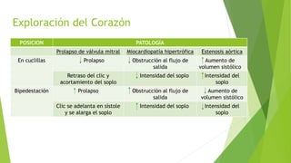 Exploración del Corazón
POSICION PATOLOGÍA
Prolapso de válvula mitral Miocardiopatía hipertrófica Estenosis aórtica
En cuclillas Prolapso Obstrucción al flujo de
salida
Aumento de
volumen sistólico
Retraso del clic y
acortamiento del soplo
Intensidad del soplo Intensidad del
soplo
Bipedestación Prolapso Obstrucción al flujo de
salida
Aumento de
volumen sistólico
Clic se adelanta en sístole
y se alarga el soplo
Intensidad del soplo Intensidad del
soplo
 