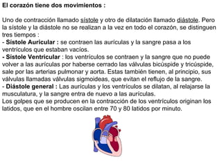 El corazón tiene dos movimientos :
Uno de contracción llamado sístole y otro de dilatación llamado diástole. Pero
la sístole y la diástole no se realizan a la vez en todo el corazón, se distinguen
tres tiempos :
- Sístole Auricular : se contraen las aurículas y la sangre pasa a los
ventrículos que estaban vacíos.
- Sístole Ventricular : los ventrículos se contraen y la sangre que no puede
volver a las aurículas por haberse cerrado las válvulas bicúspide y tricúspide,
sale por las arterias pulmonar y aorta. Estas también tienen, al principio, sus
válvulas llamadas válvulas sigmoideas, que evitan el reflujo de la sangre.
- Diástole general : Las aurículas y los ventrículos se dilatan, al relajarse la
musculatura, y la sangre entra de nuevo a las aurículas.
Los golpes que se producen en la contracción de los ventrículos originan los
latidos, que en el hombre oscilan entre 70 y 80 latidos por minuto.
 