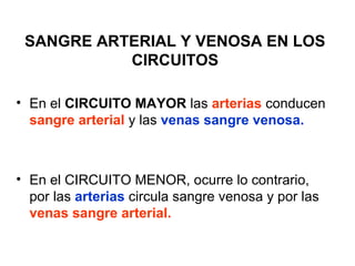 SANGRE ARTERIAL Y VENOSA EN LOS
CIRCUITOS
• En el CIRCUITO MAYOR las arterias conducen
sangre arterial y las venas sangre venosa.
• En el CIRCUITO MENOR, ocurre lo contrario,
por las arterias circula sangre venosa y por las
venas sangre arterial.
 