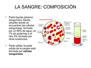 LA SANGRE: COMPOSICIÓN
• Parte líquida (plasma
sanguíneo): líquido
amarillo donde se
encuentran las células
sanguíneas, formado
por un 90% de agua, un
7% de proteínas y el
otro 3% formado por
otras sustancias.
• Parte sólida: la parte
sólida de la sangre está
formada por células
sanguíneas.
 