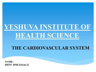 YESHUVA INSTITUTE OF
HEALTH SCIENCE
NAME-
DEPT- DMLT(Sem-2)
THE CARDIOVASCULAR SYSTEM
 