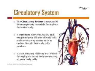 HEART
Chapter 18, Cardiovascular System 8
Figure 18.1
 